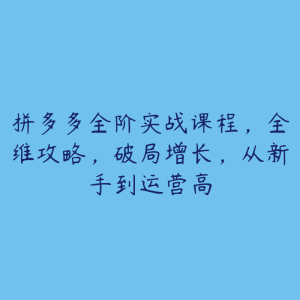 拼多多全阶实战课程，全维攻略，破局增长，从新手到运营高-51自学联盟