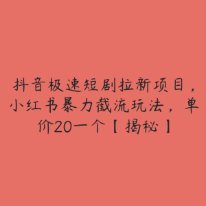 抖音极速短剧拉新项目，小红书暴力截流玩法，单价20一个【揭秘】-51自学联盟