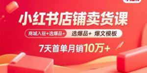 小红书店铺卖货课:商城入驻+选爆品+爆文模板,7天首单月销10万+-51自学联盟