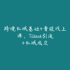 跨境私域基础+晋级线上课，Tilktok引流+私域成交-51自学联盟