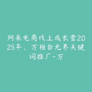 阿呆电商线上成长营2025年,万相台无界关键词推广-万-51自学联盟