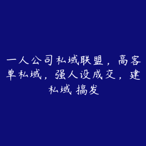 一人公司私域联盟，高客单私域，强人设成交，建私域 搞发-51自学联盟