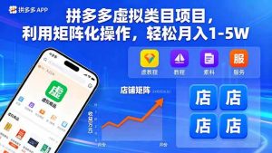 拼多多虚拟类目项目,利用矩阵化操作,轻松月入1-5W-51自学联盟