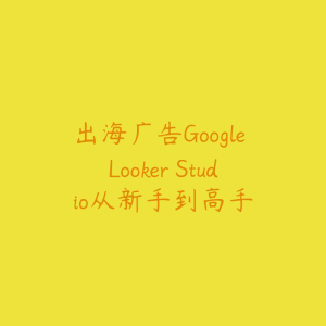 出海广告Google Looker Studio从新手到高手-51自学联盟