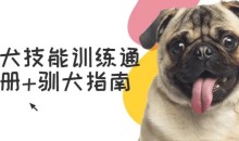 宠物犬技能训练通用手册驯犬指南-51自学联盟