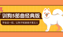 训狗五部曲经典版 养狗不再麻烦-51自学联盟