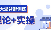 麦大湿背部训练视频课程（理论+实操计划）-51自学联盟