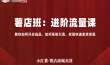 小红薯薯店商城卖货，进阶流量课，教你如何开店选品、如何系统引流，实现快速卖货变现-51自学联盟
