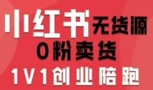 爱野佩佩小红书无货源0粉电商课,开店准备、选品策略、笔记撰写、视频剪辑、数据分析、账号打造、资料文档-51自学联盟
