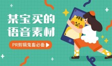 淘宝外面买到9000条语音素材-51自学联盟