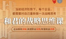 和君的战略思维课－企业困局突破/高管职业突围/财富机会洞察-51自学联盟