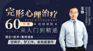 王铮完形心理治疗60节从入门到精通-51自学联盟