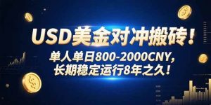 USD美金对冲搬砖!单人单日800-2000CNY,长期稳定运行8年之久!-51自学联盟