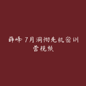 薛峰 7月洞彻先机密训营视频-51自学联盟