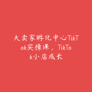 大卖家孵化中心TikTok实操课，TikTok小店成长-51自学联盟