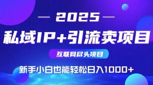 2025网创尽头项目,私域IP+引流,新手小白也能在家日入1000+-51自学联盟