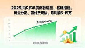2025拼多多年度爆款运营,基础搭建、流量分配、强付费玩法,月利润5-15万-51自学联盟