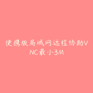 便携版局域网远程协助VNC最小3M-51自学联盟