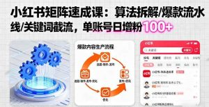 小红书矩阵起号速成课:算法拆解/爆款流水线/关键词截流 单账号日增粉100+-51自学联盟