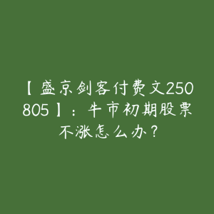 【盛京剑客付费文250805】：牛市初期股票不涨怎么办？-51自学联盟