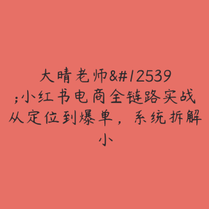 大晴老师・小红书电商全链路实战从定位到爆单，系统拆解小-51自学联盟