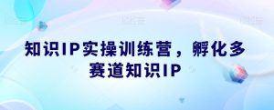 知识IP实操训练营 孵化多赛道知识IP-51自学联盟