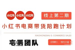 小红书电商带货课2期，月利润20个的小红书电商的有货源，无货源，虚拟产品，付费投流等整套玩法-51自学联盟