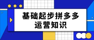 纪主任 基础起步拼多多运营知识一手掌握，价值499元-51自学联盟