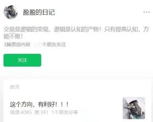 盈盈的笔记/盈盈的日记 短线交易系统课程-51自学联盟