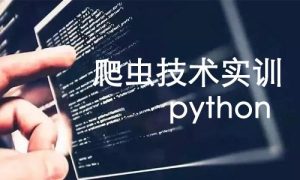 python爬虫技术实训视频教程-51自学联盟