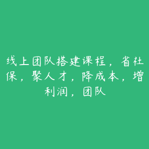 线上团队搭建课程,省社保,聚人才,降成本,增利润,团队-51自学联盟