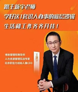 王新宇·流程性思维课人办事的底层逻辑-51自学联盟