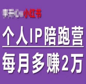 小红书个人IP陪跑营,60天拥有自动转化成交的双渠道个人IP-51自学联盟