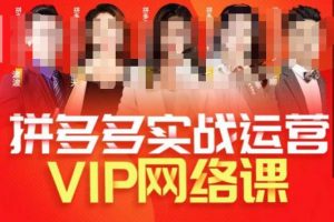 推易拼多多VIP全套直播课程，拼多多店铺实操玩法+实战玩法选款内功+直通车高阶等-51自学联盟