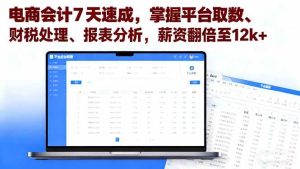 电商会计7天速成，掌握平台取数、财税处理、报表分析，薪资翻倍至12k+-51自学联盟