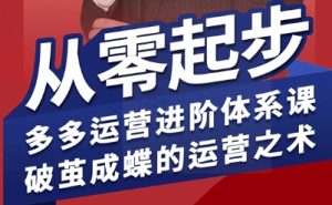 海神·拼多多运营进阶系统课,从零起步,多多运营进阶体系课,破茧成蝶的运营之术-51自学联盟