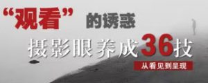 摄影眼养成36技+影像创作社区王建章的摄影课-51自学联盟