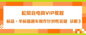 松鼠会电商VIP教程：松鼠《付费推广标品·半标直通车操作针对性答疑&诊断》-51自学联盟