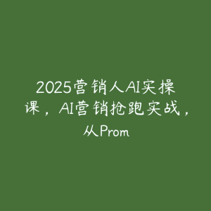 2025营销人AI实操课，AI营销抢跑实战，从Prom-51自学联盟