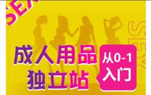 成人用品独立站从0-1入门，成品独立站运营全流程教学，七大好卖成品独立站推荐-51自学联盟