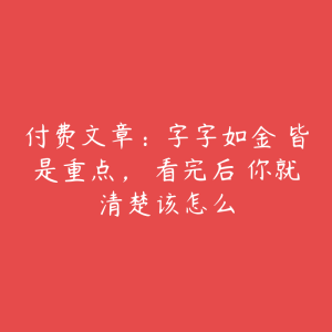 付费文章:字字如金 皆是重点, 看完后 你就清楚该怎么-51自学联盟