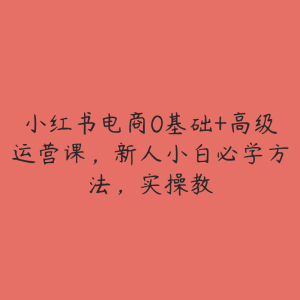 小红书电商0基础+高级运营课,新人小白必学方法,实操教-51自学联盟