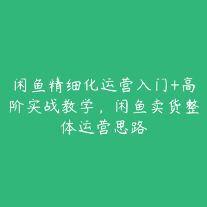 闲鱼精细化运营入门+高阶实战教学,闲鱼卖货整体运营思路-51自学联盟