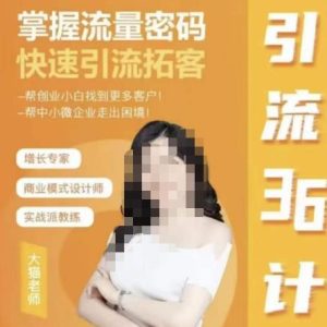 大猫·引流36计掌握流量密码快速引流课-51自学联盟