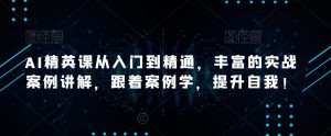 AI精英课从入门到精通，丰富的实战案例讲解，跟着案例学，提升自我-51自学联盟
