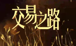 陈凯诸葛就是不亮 交易之路初中高级视频往期-51自学联盟