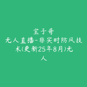 宝子哥・无人直播-非实时防风技术(更新25年8月)无人-51自学联盟