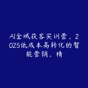 AI全域获客实训营，2025低成本高转化的智能营销，精-51自学联盟