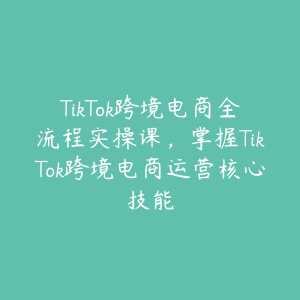 TikTok跨境电商全流程实操课，掌握TikTok跨境电商运营核心技能-51自学联盟