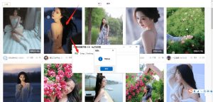 图虫tuchong批量图片下载小工具v1.0-51自学联盟